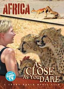 Becci Crowe at AfriCat with Cheetahs